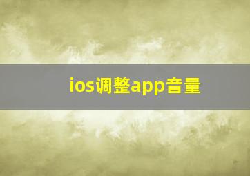 ios调整app音量