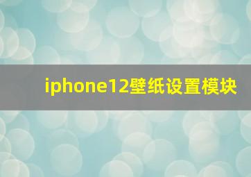 iphone12壁纸设置模块