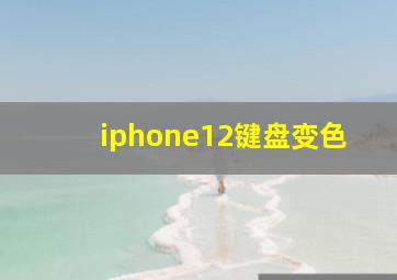 iphone12键盘变色