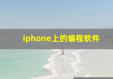 iphone上的编程软件