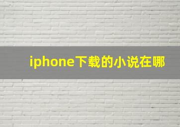 iphone下载的小说在哪