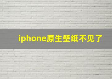 iphone原生壁纸不见了