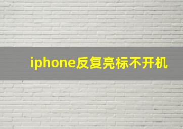 iphone反复亮标不开机