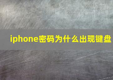 iphone密码为什么出现键盘