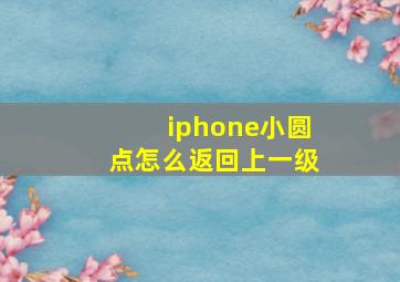 iphone小圆点怎么返回上一级