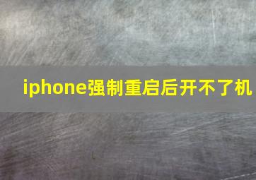 iphone强制重启后开不了机