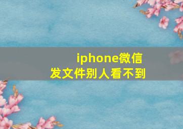 iphone微信发文件别人看不到