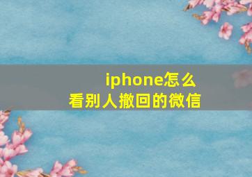 iphone怎么看别人撤回的微信