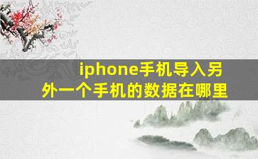 iphone手机导入另外一个手机的数据在哪里