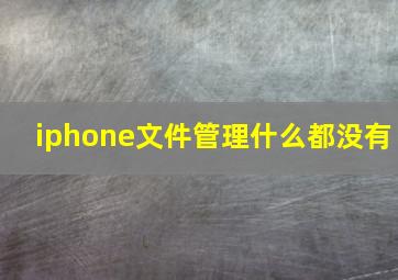 iphone文件管理什么都没有