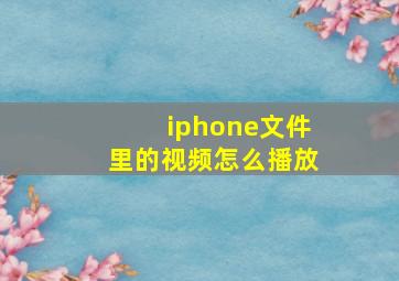 iphone文件里的视频怎么播放