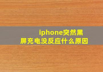 iphone突然黑屏充电没反应什么原因