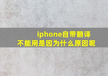 iphone自带翻译不能用是因为什么原因呢