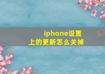 iphone设置上的更新怎么关掉