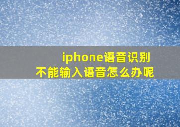 iphone语音识别不能输入语音怎么办呢