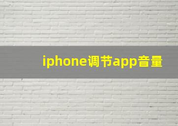 iphone调节app音量