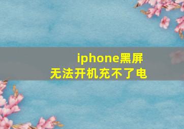 iphone黑屏无法开机充不了电