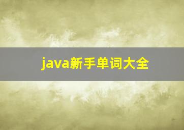 java新手单词大全