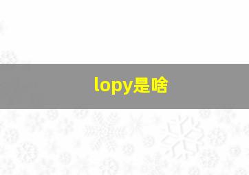 lopy是啥