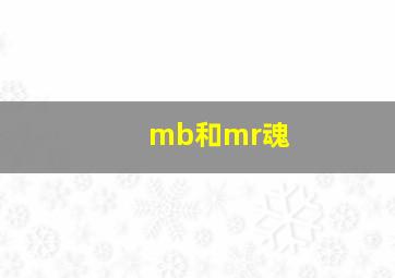 mb和mr魂