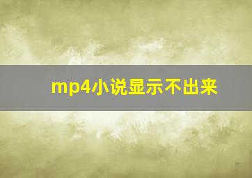 mp4小说显示不出来