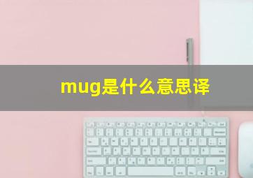 mug是什么意思译