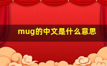 mug的中文是什么意思