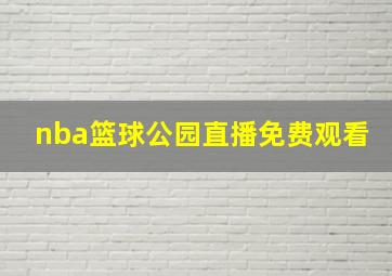 nba篮球公园直播免费观看