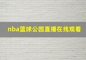 nba篮球公园直播在线观看