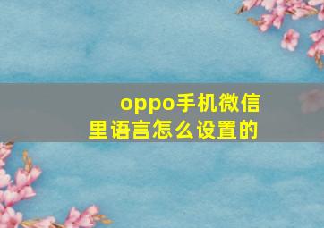 oppo手机微信里语言怎么设置的