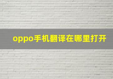 oppo手机翻译在哪里打开