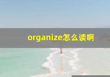 organize怎么读啊