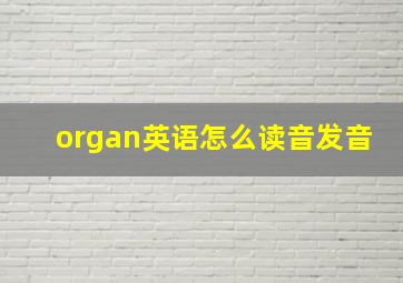 organ英语怎么读音发音