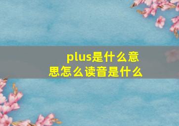 plus是什么意思怎么读音是什么