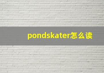 pondskater怎么读