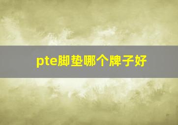 pte脚垫哪个牌子好