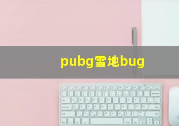 pubg雪地bug