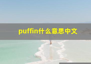 puffin什么意思中文