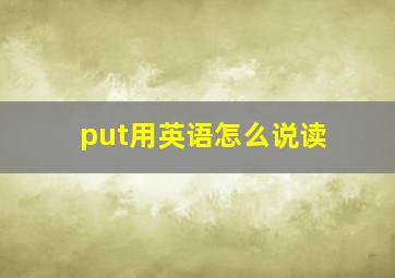 put用英语怎么说读