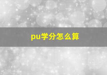 pu学分怎么算