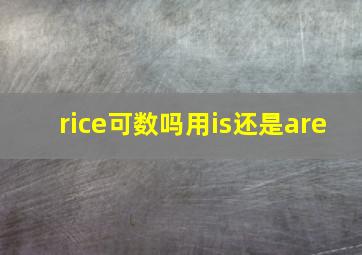 rice可数吗用is还是are