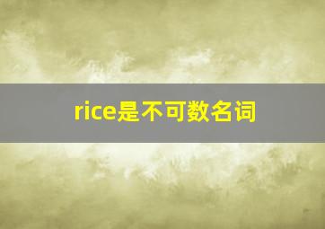 rice是不可数名词