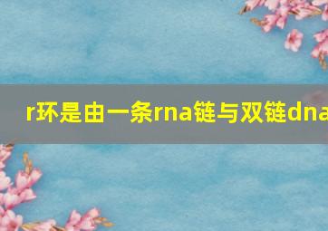 r环是由一条rna链与双链dna