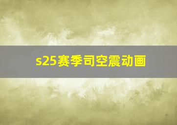 s25赛季司空震动画