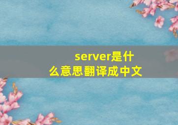 server是什么意思翻译成中文