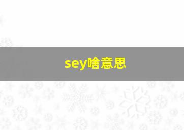 sey啥意思