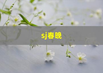 sj春晚