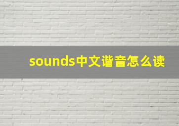 sounds中文谐音怎么读