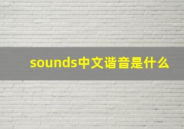 sounds中文谐音是什么