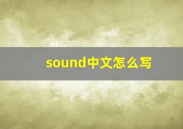 sound中文怎么写